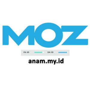 Web Authority SEO Moz Web Authority SEO Moz