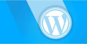 Web Hosting untuk Toko Online