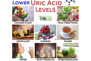 Makanan Penurun Asam Urat