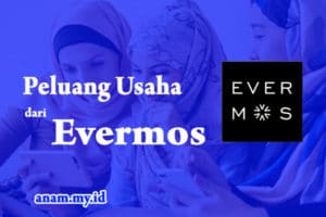 Peluang Usaha Sampingan Evermos Peluang Usaha Sampingan Evermos