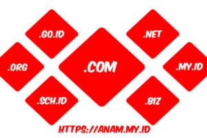 Ekstensi Domain Anam SEO Ekstensi Domain Anam SEO