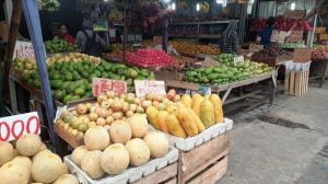 Cara Promosi Bisnis Jual Buah Online yang Menguntungkan Cara Promosi Bisnis Jual Buah Online yang Menguntungkan